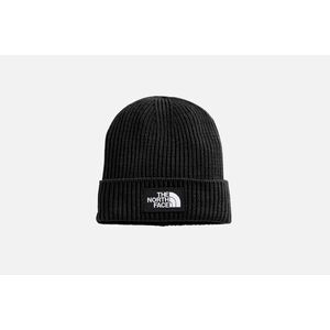 Box Logo Beanie imagine