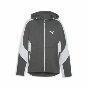 Bluza cu Fermoar Puma Evostripe Full-Zip Hoodie imagine