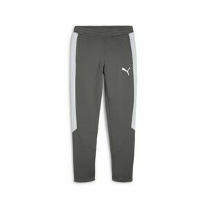 Pantaloni Puma Evostripe Pants DK imagine