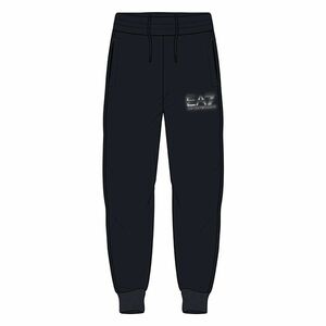 Pantaloni EA7 M OVERSIZE LOGO PANTS CH COFT imagine