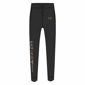 Pantaloni EA7 W PANTS CH EXTENDED LOGO BR imagine