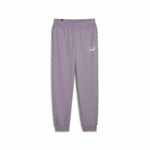 Pantaloni Puma ESS Tape Sweatpants FL CL imagine