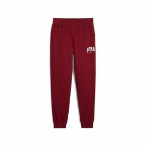 Pantaloni Puma Sweatpants FL CL imagine