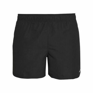 Hr. 5'' Nike Volley Badeshort imagine