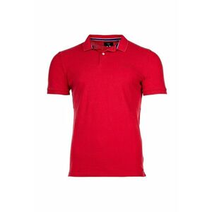 Tricou polo cu broderie logo Destroy imagine