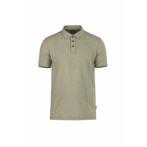 Tricou polo regular fit de bumbac Ambrosio imagine