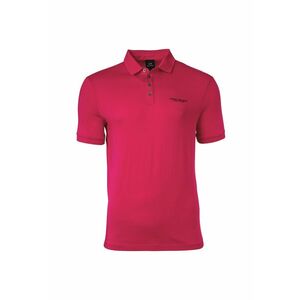 Tricou polo slim fit din bumbac cu logo discret imagine