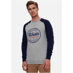 Woldo - Bluza de trening cu imprimeu logo si maneci raglan Runder 1945 imagine