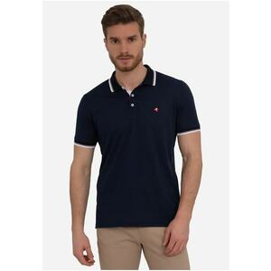 Tricou polo cu detaliu logo imagine