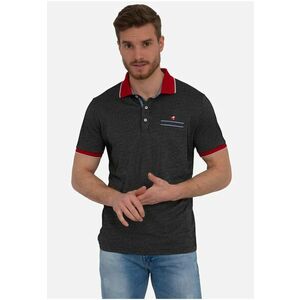 Tricou polo cu detaliu cu logo discret imagine