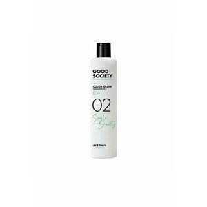 Sampon pentru par vopsit GS02N Color Glow 250 ml Good Society Metropolitan Greenery imagine