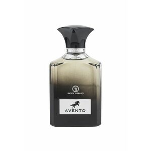 Apa de parfum Avento - Barbati - 100 ml imagine