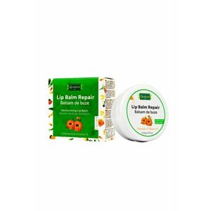 Balsam de buze reparator - cu Calendula si Vitamina A - 20g - pentru buze crapate si uscate imagine