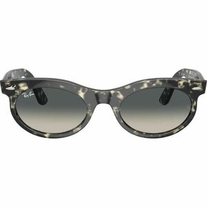 Ochelari de soare unisex Ray-Ban RB2242 1333/71 Wayfarer Oval imagine