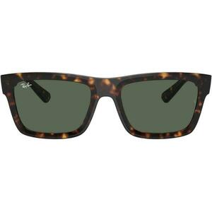 Ochelari de soare unisex Ray-Ban RB4396 1359/71 Warren imagine