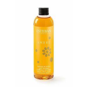 Esteban complement la difuzor 250 ml imagine