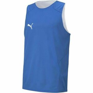 Puma DACH PRACTISE JERSEY Tricou cu două fețe pentru bărbați, albastru, mărime imagine