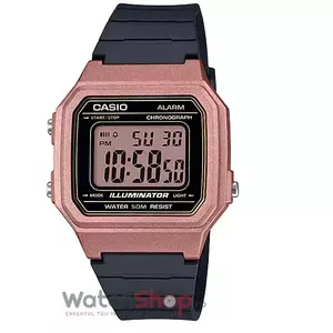 Ceas Casio COLLECTION W-217HM-5A imagine