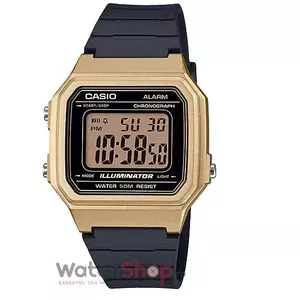 Ceas Casio COLLECTION W-217HM-9A imagine