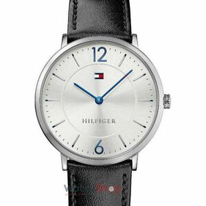 Ceas Tommy Hilfiger ULTRA SLIM 1710351 imagine