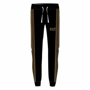 Pantaloni EA7 M PANTS CH BR imagine