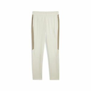 Pantaloni Puma Evostripe Warm Pants DK imagine