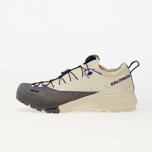 Sneakers Salomon Alpinway Advanced Almond Milk/ Plum Kitten/ Clematis Blue imagine