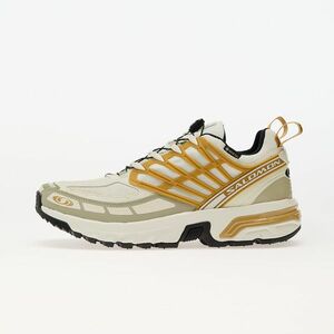 Sneakers Salomon ACS Pro GTX Icicle/ Antelope/ Tea imagine