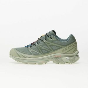 Sneakers Salomon XT-6 GTX Desert Sage/ Lily Pad/ Laurel Wreath imagine