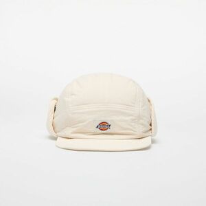 Dickies Glendive Cap Whitecap Gray imagine