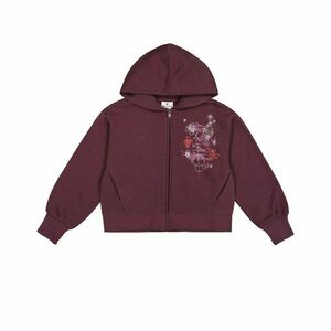 Hooded Full Zip imagine