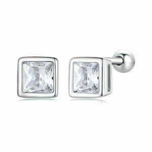 Cercei din argint Small Square Crystal Elegance imagine