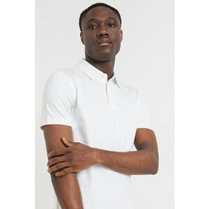 Tricou polo slim fit de bumbac Palosh imagine