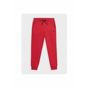 Pantaloni sport Baieti - 302878000 - Bumbac imagine