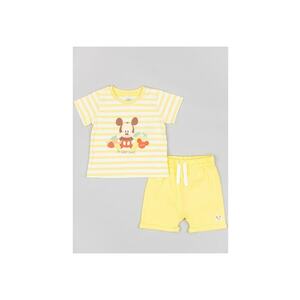 Set tricou si pantaloni scurti - 302725021 - Bumbac - Galben imagine