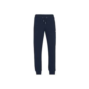 Pantaloni barbati - BRAIVES sweat pants - Bumbac/Poliester imagine