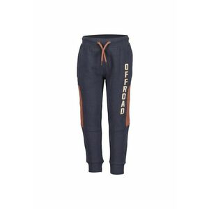 Pantaloni sport Baieti - 303199753 - Bumbac imagine