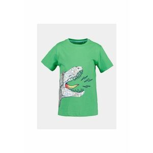 Tricou baieti - 303573614 - Verde - Bumbac imagine