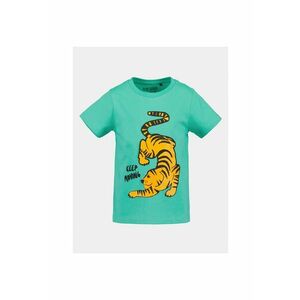 Tricou baieti - 303573683 - Verde - Bumbac imagine