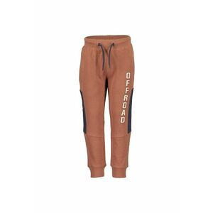 Pantaloni sport Baieti - 303199661 - Bumbac imagine