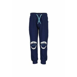 Pantaloni sport Baieti - 303198909 - Bumbac imagine