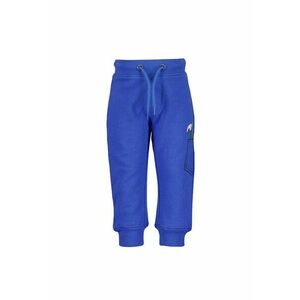 Pantaloni sport Baieti - 303206055 - Bumbac imagine