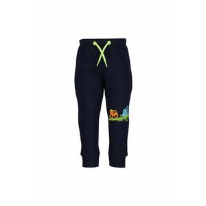 Pantaloni sport Baieti - 302002948 - Poliester imagine