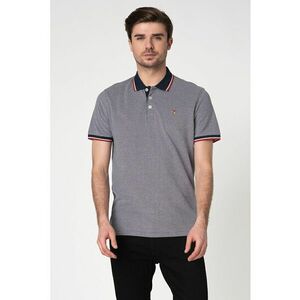 Tricou polo regular fit Luwin imagine