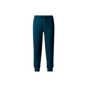 Pantaloni trening Nse Pant NF0A4SVQ1NO1 Barbati Albastru imagine