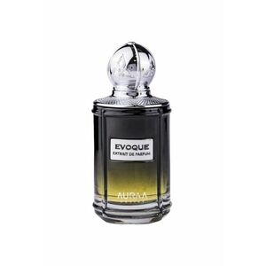 Apa de parfum Evoque - Barbati - 100ml imagine