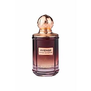 Extract de parfum Avenge - Barbati - 100ml imagine