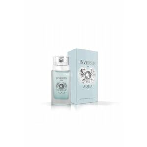 Apa de toaleta - Inversus Men - Barbati - 100ml imagine