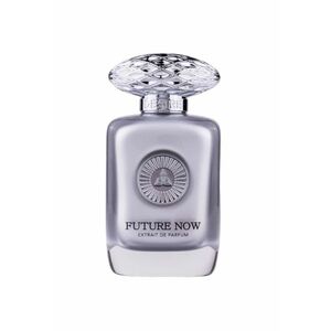 Apa de parfum Future Now - Unisex - 100ml imagine