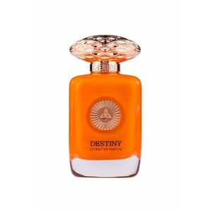 Extract de parfum Destiny - Barbati - 100ml imagine